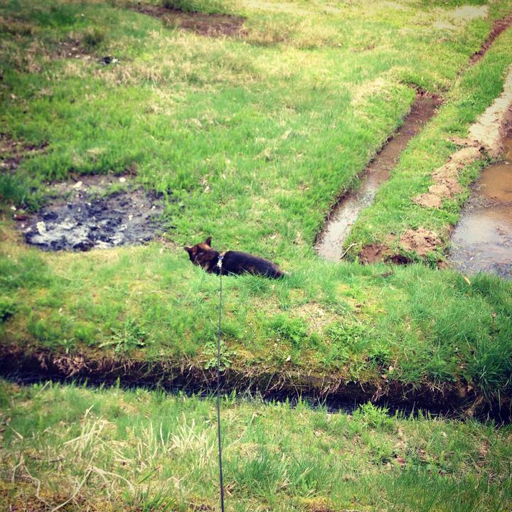 366e0ec2 1bf4 48a9 8c40 b21a30dfae32