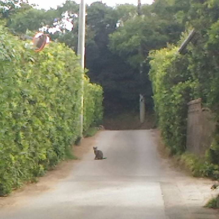 366e3a6b 907c 4269 a7e6 749882417d27