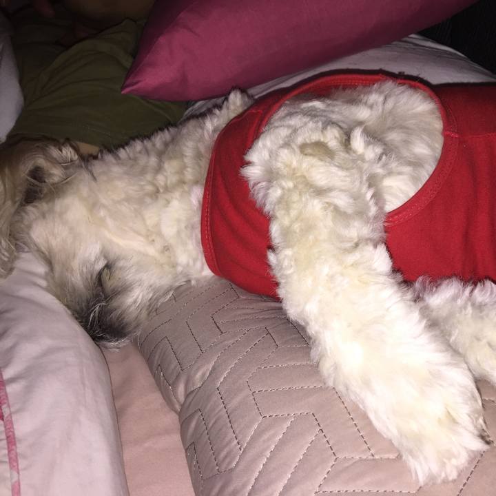 366ebdba 5135 4125 a31d fa77704a6ba4