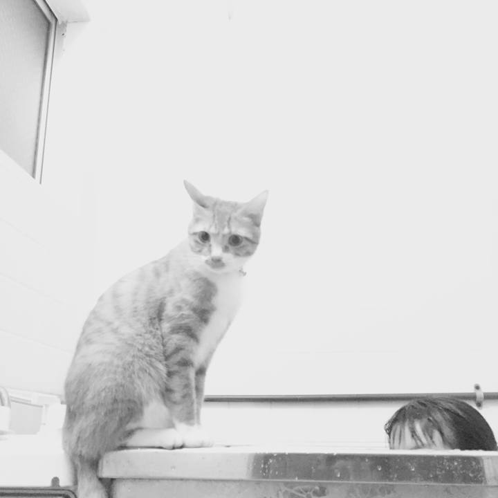 366eea25 a51a 4c5f 8a0f 1270ea1ececf