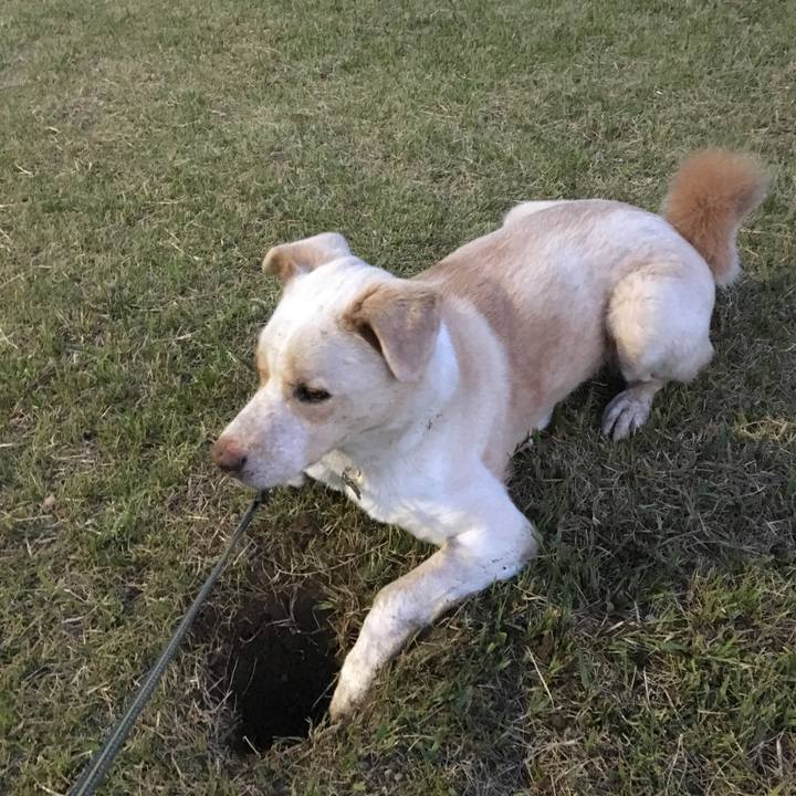 366ef817 aa7a 44b6 b740 a98be0b27342