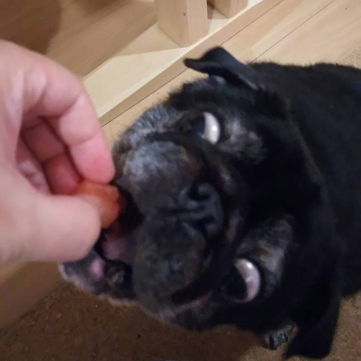 366f0f10 2b1e 445d bc23 f126adb8f381