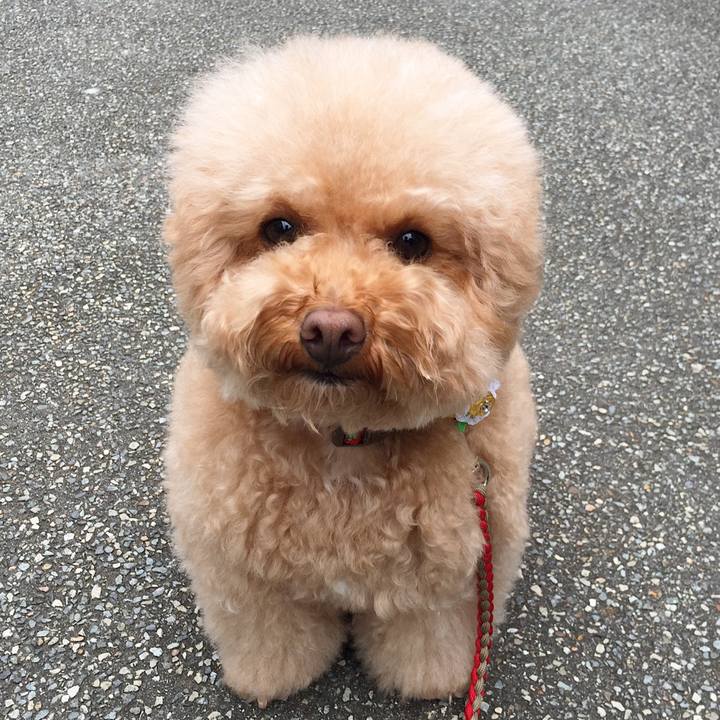 366f750c 38a3 4d4a b86a 5b60e41402e8