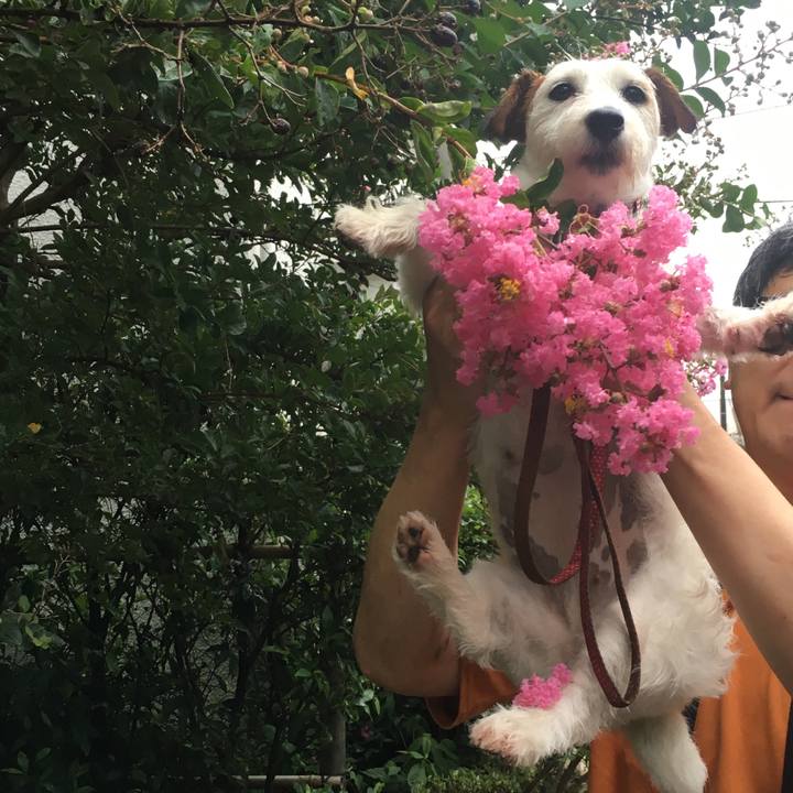 366f849b e9ba 47fe 83bd ab7eaafc9158