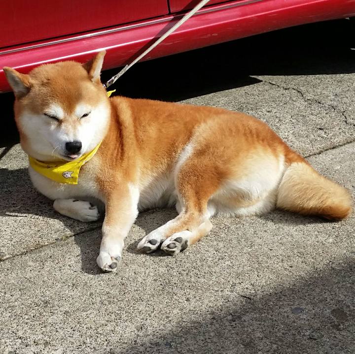 366fd3a2 1ae4 428c 9ede c276cc1f7495