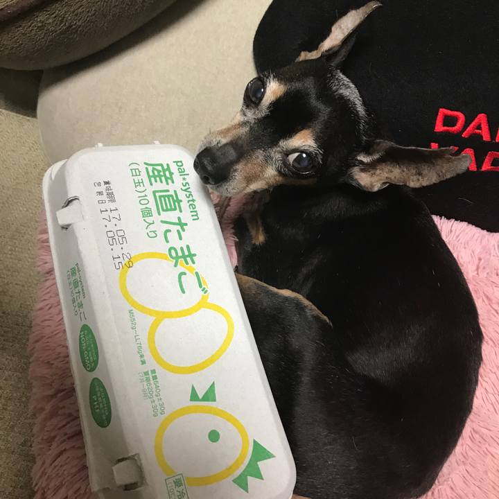 366fe957 2eff 45fc ab44 46a82f0835e3