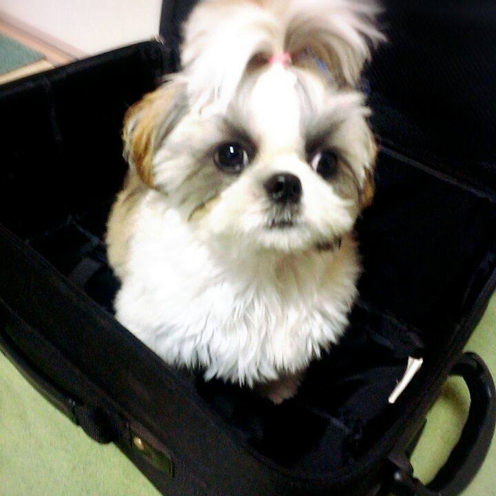 367004e2 dc4c 4b80 ba78 9b9731618041