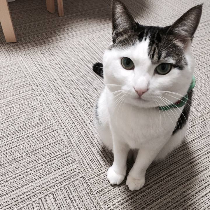 36700546 3fb6 4d4d 9e89 30f5b6690628