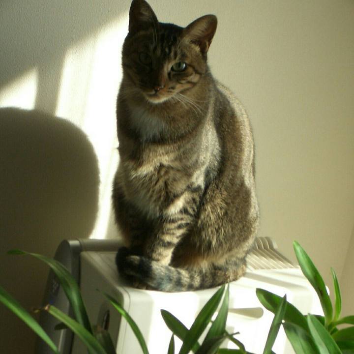 36708ad3 023c 482a aa3f 98a6ab56e5ef