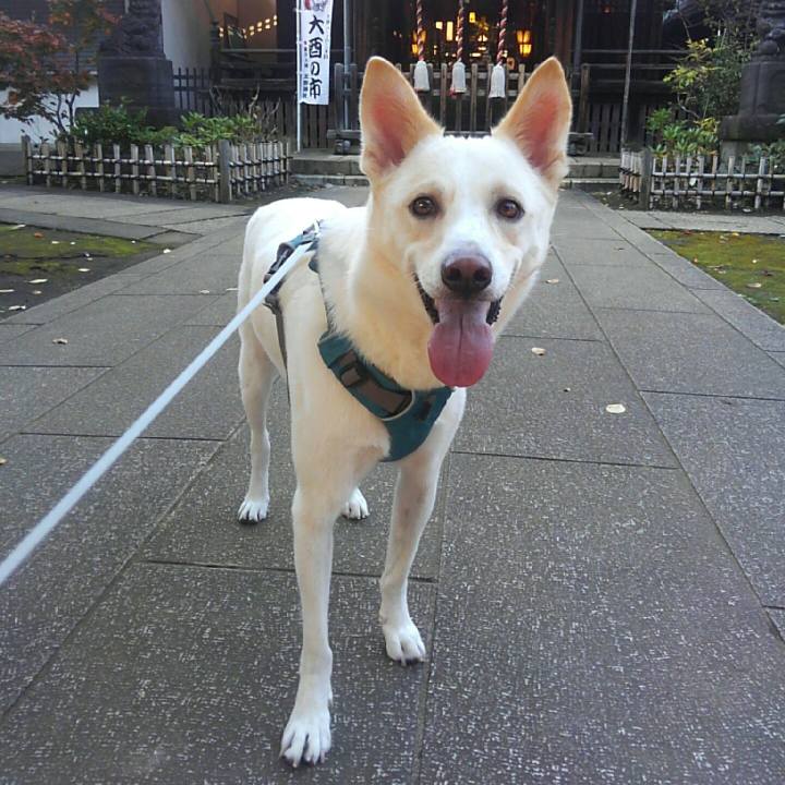 3670bce9 11cd 4949 9833 698bd5b39205