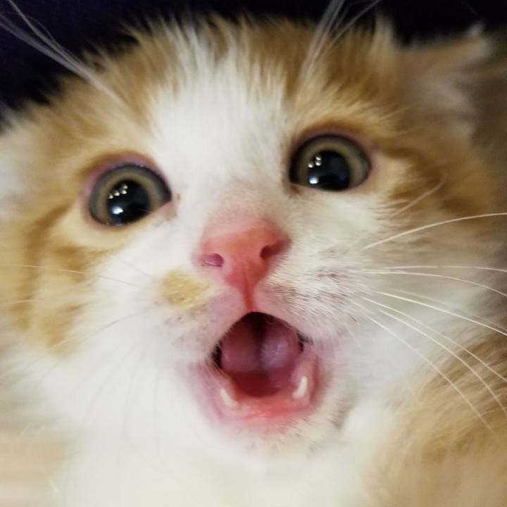 3671a723 8b88 44d0 8833 dcc9933e3c5e