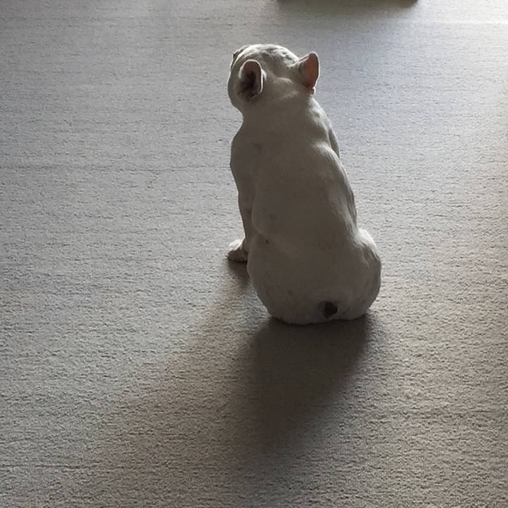 3671dc28 23b3 4511 a6fc 571b2fa1e6de