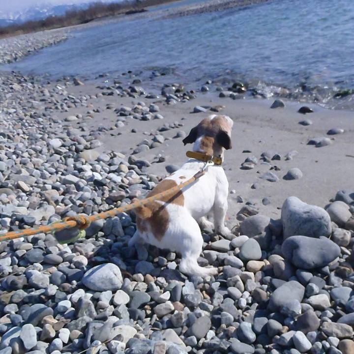 3672457f 5c39 44e5 94a6 a3e186cf2346