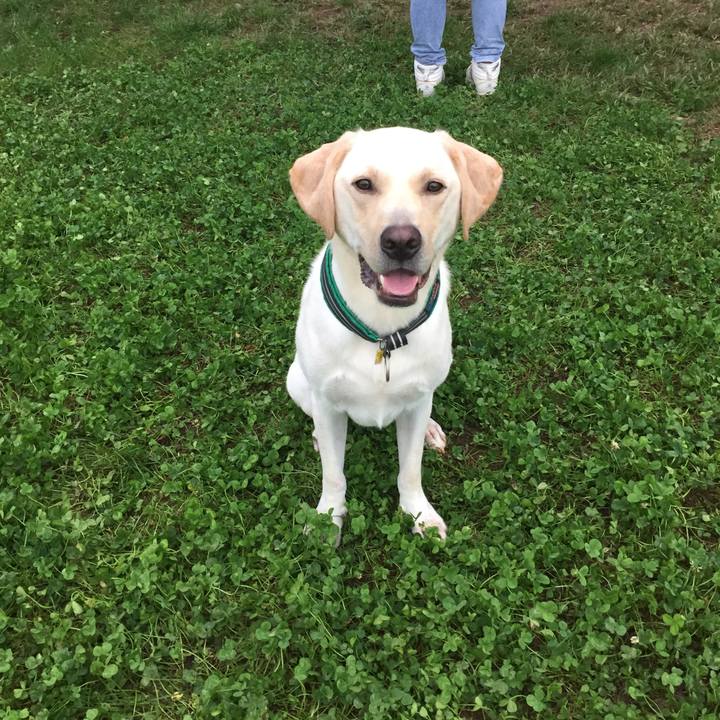 3672916c 1418 44fc afb2 7c29611e8ac9