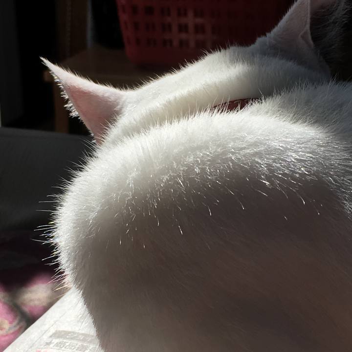 3672f693 b9ae 49ab aa45 bb6360b70f85