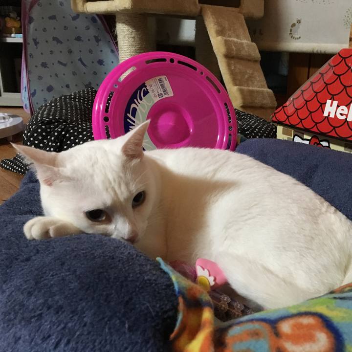 36730555 9025 49aa 8fab 313429324381