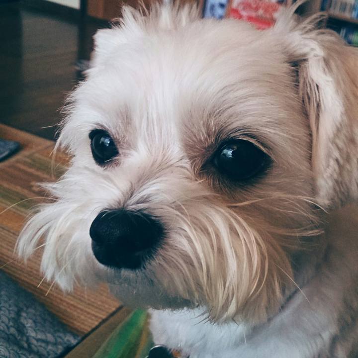 367453de cf55 4377 b319 ac94b5c6a68f