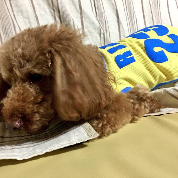 3674a6a2 5218 4b21 9b46 c1952d5036c1