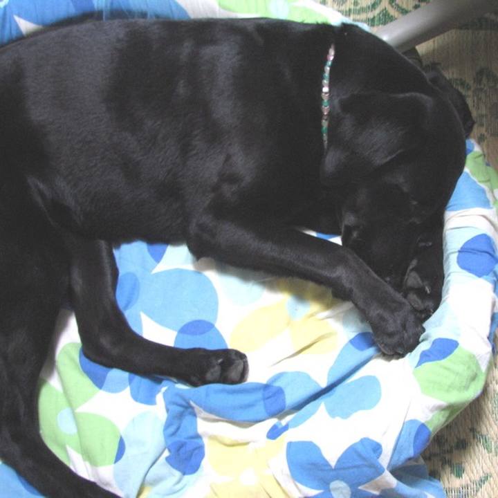 36753a0e 5d09 4ba1 9ca8 c36c47a67e93