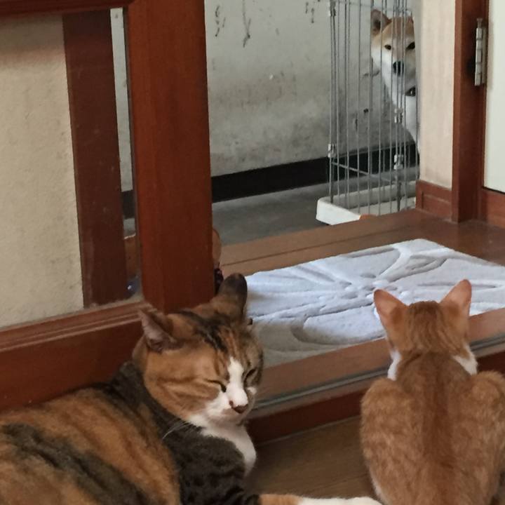 36753aa6 9bfa 4c71 b528 cf4650e28979