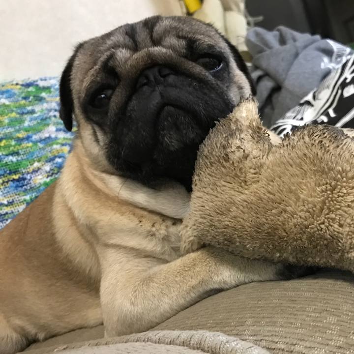 367552b2 c970 44a3 8934 f92dca261721