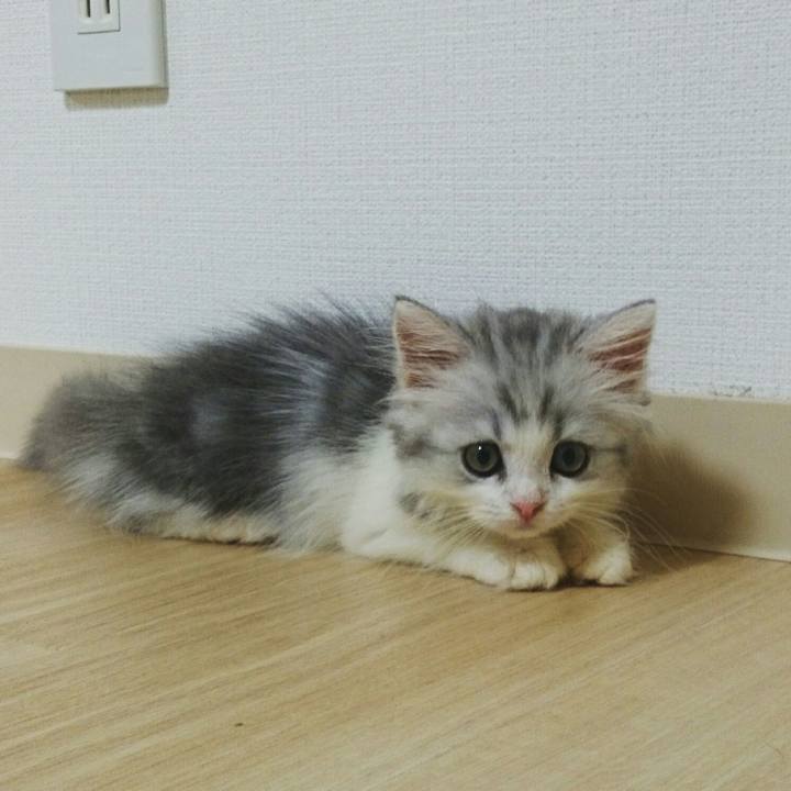 3675bb8f 0330 43f6 98ae ecf16cdd4728