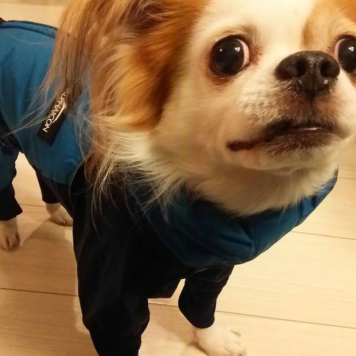 3675ce8d fdf8 45eb b684 7ce1d466585b