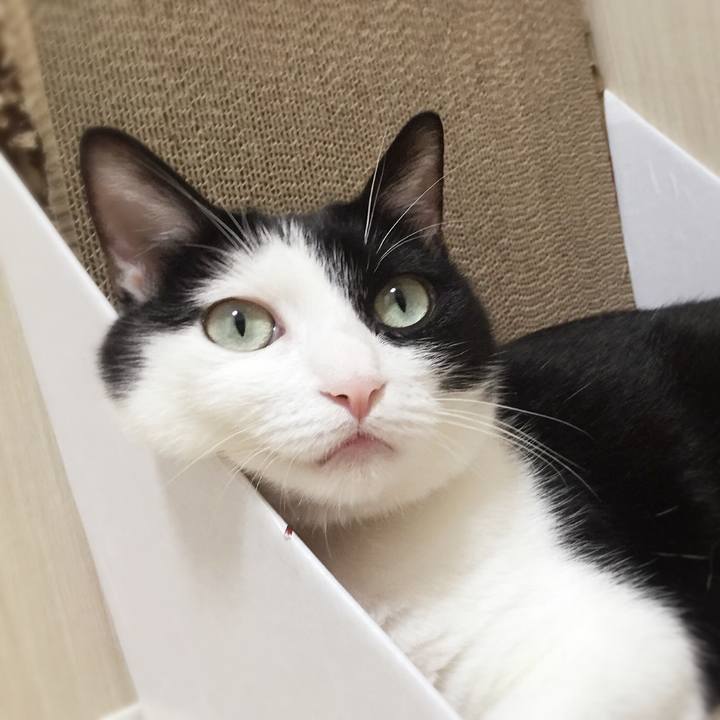 36767f49 ee2f 4356 82ad 1058d23db57c