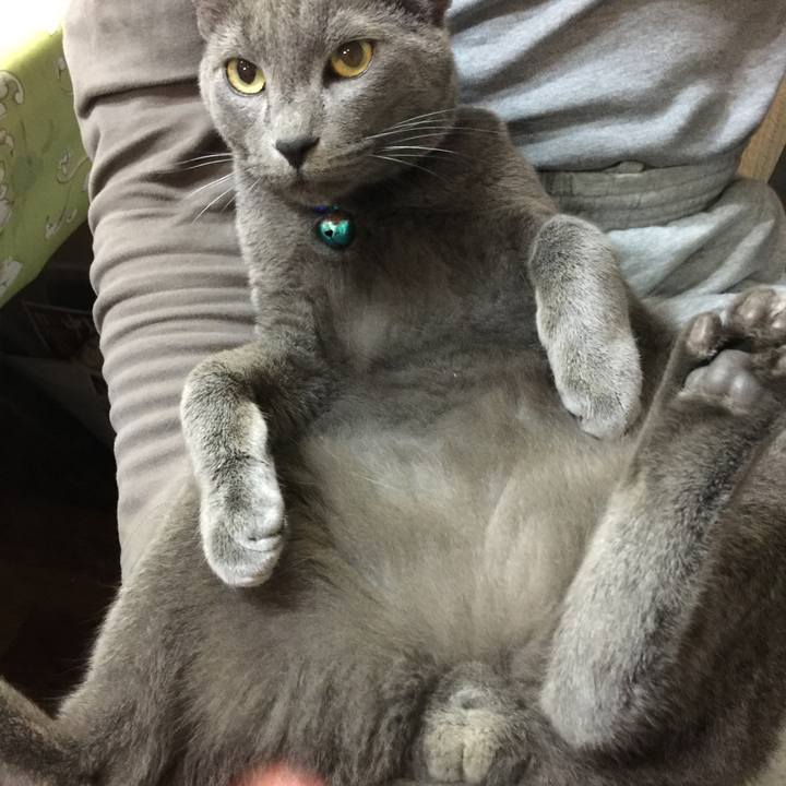 3676be18 392e 4191 bcf4 12ed135be3a8