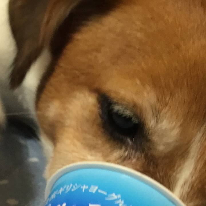 3677d86a 3c3f 4ea9 82a1 0920cc0d978f