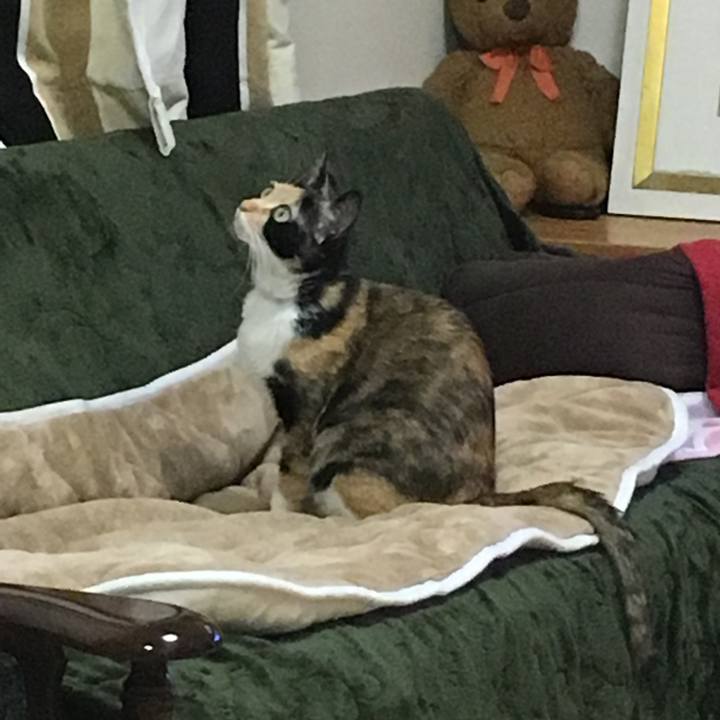 367809ba 7eac 40df 893f 13f139b65b38