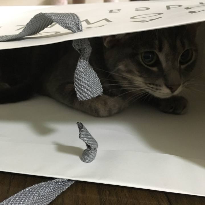 3678415d 63f1 4327 b06a 9bf371d0e7de