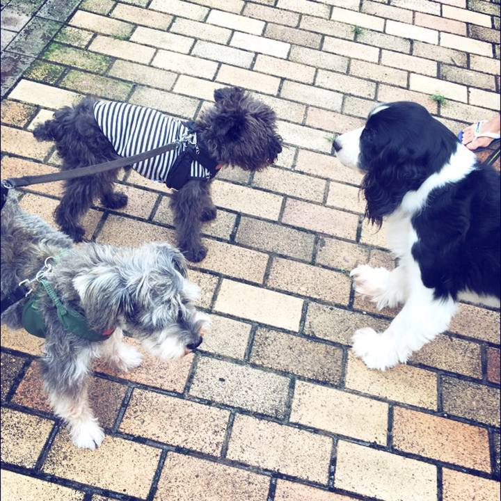 3678cf39 ca2c 4435 a2a1 377eac4c7255