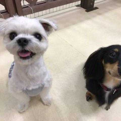 3679224a 6245 4705 a501 48f5b503cb2f