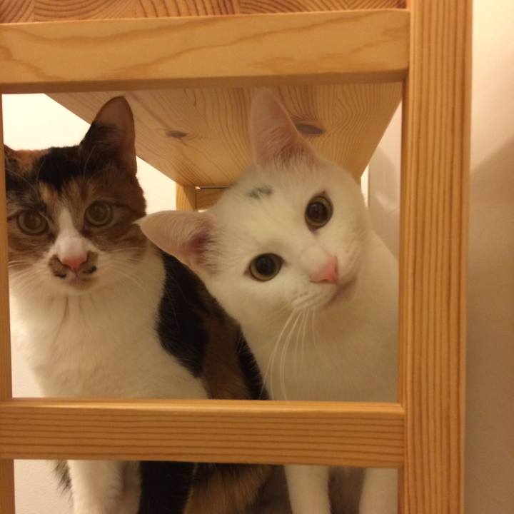 367971ca 8348 4ee8 b223 6e69a6373b22