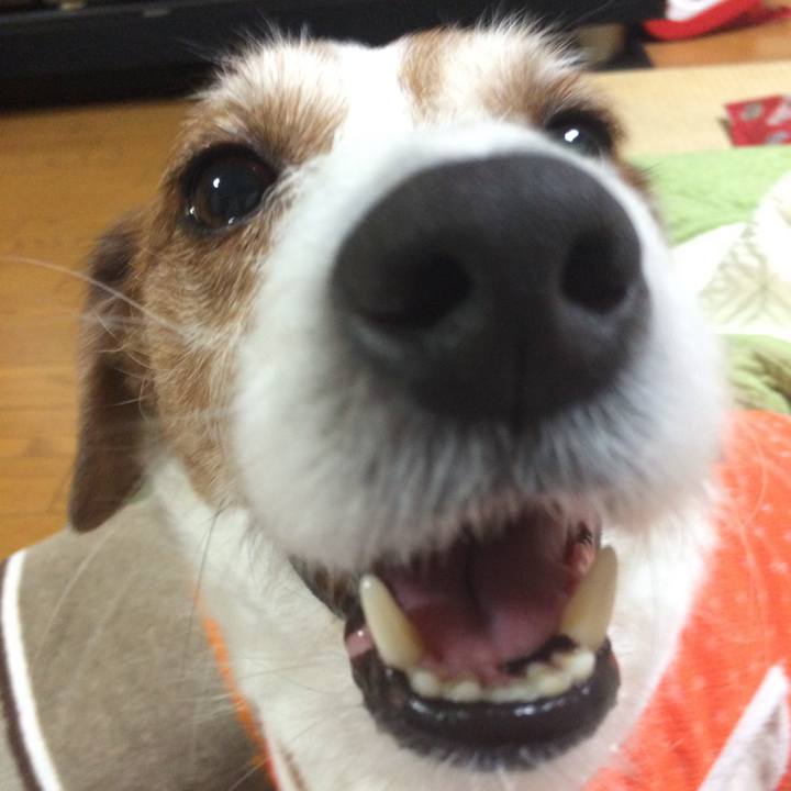 367a1cbe 523a 4f6a 88af b886a6a683f5