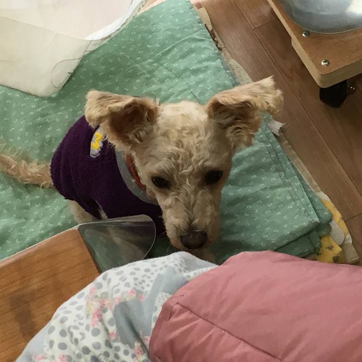 367a1ff5 1434 4213 afc0 af6f02824dca