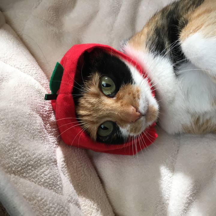 367a2708 0d6c 4b9b 9946 d2fa45c7d11b