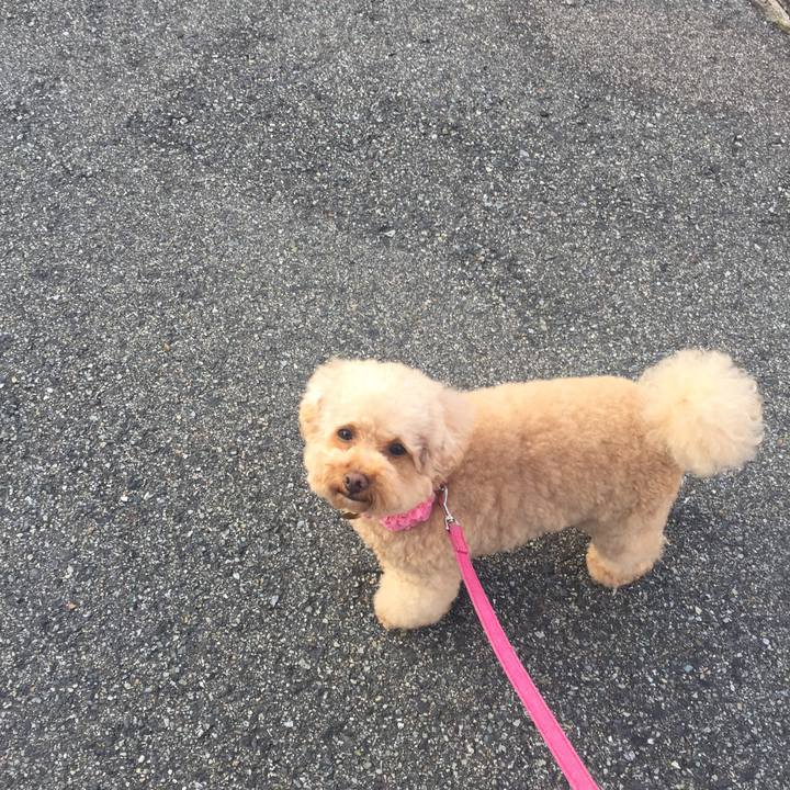 367a4755 1349 4c86 bb76 0e74059c2de9