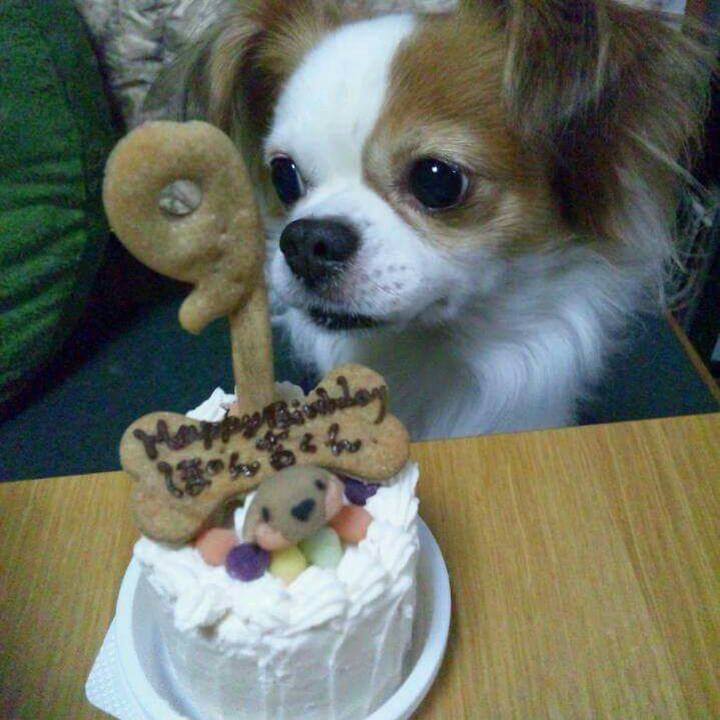 367a6d37 7db2 4dea b6af 911c9fee104d