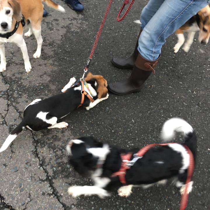 367b1c2a 72b7 4fd3 8886 ce73b7fd318c