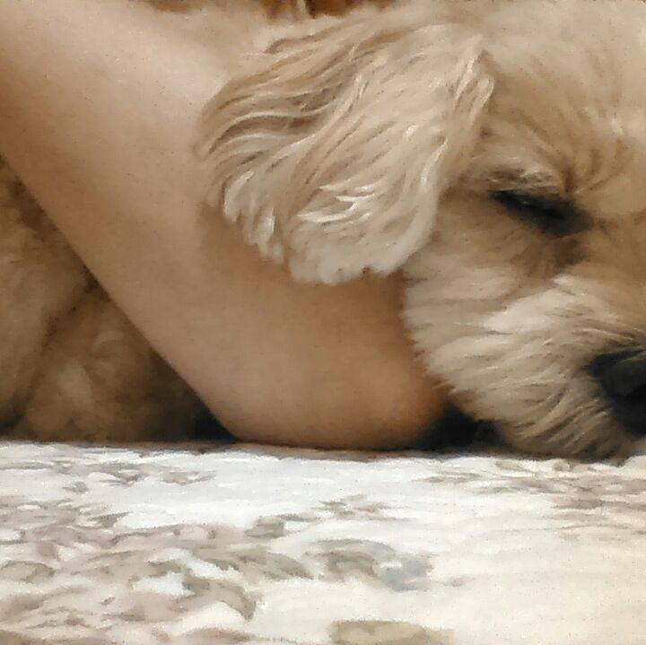 367b2d1a 3c87 4d55 b5d3 ece12871f750