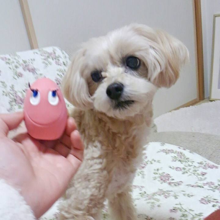 367b8354 f92a 40ae 9400 88010b2d963d