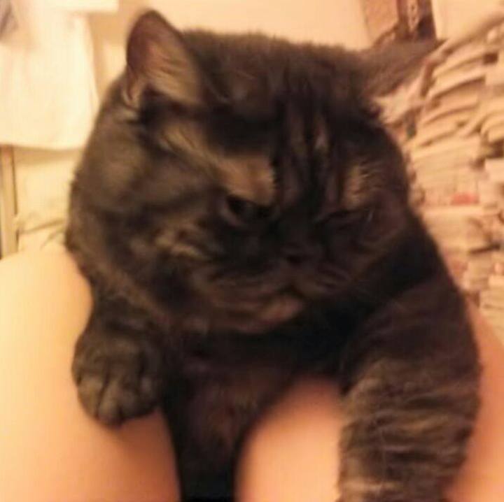 367b8719 90eb 4dd3 82e1 85722d7450a6