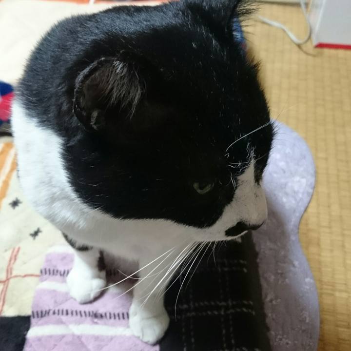 367b8f07 3887 4a1d 8c6e 68d27d2dedf9