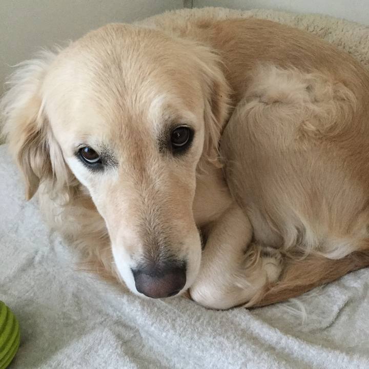 367bc1fa 6cab 4561 8da5 f0e438c68c77