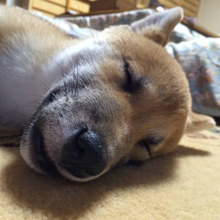 367c13b5 69ae 43fe 80b8 024a0bbaf31d