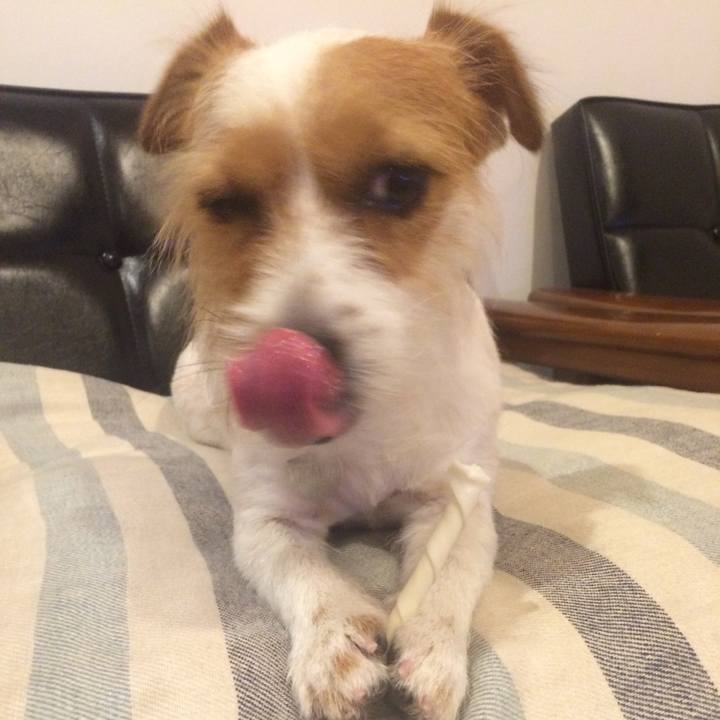 367ce271 966c 4947 8057 a1b86a93e35f