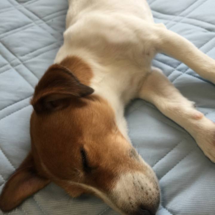 367da918 96ef 47d3 95e1 a784bb416e60