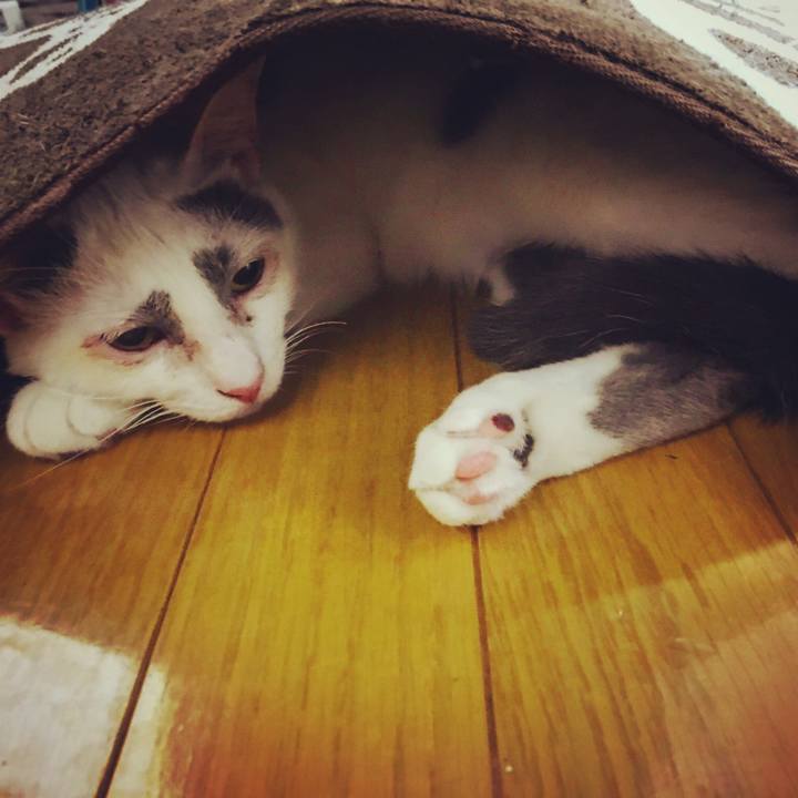 367e8dc9 c030 4898 9ac2 61a0c397c421